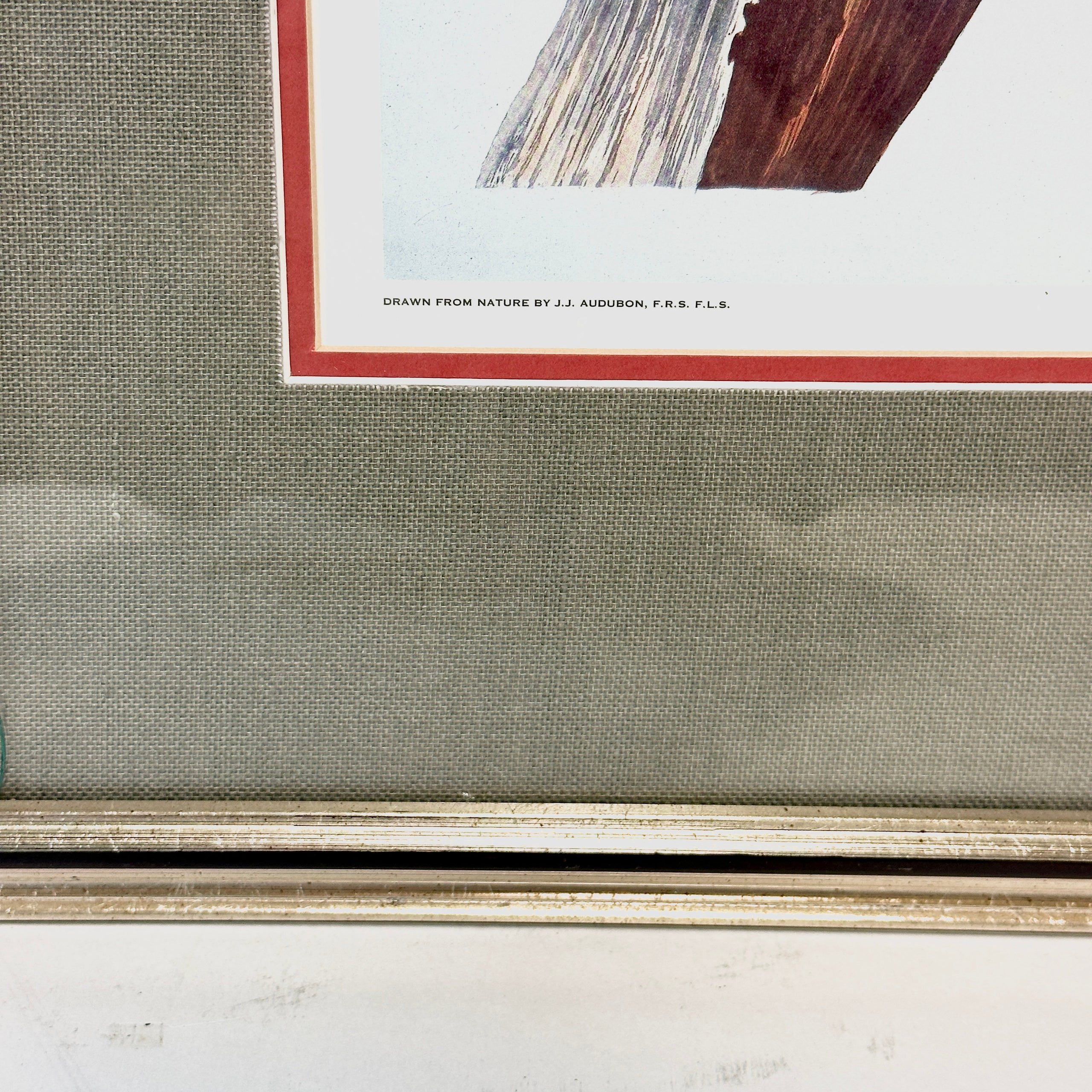 Pileated Woodpecker by Robert Havell and John James Audubon Habitat for Humanity Portland