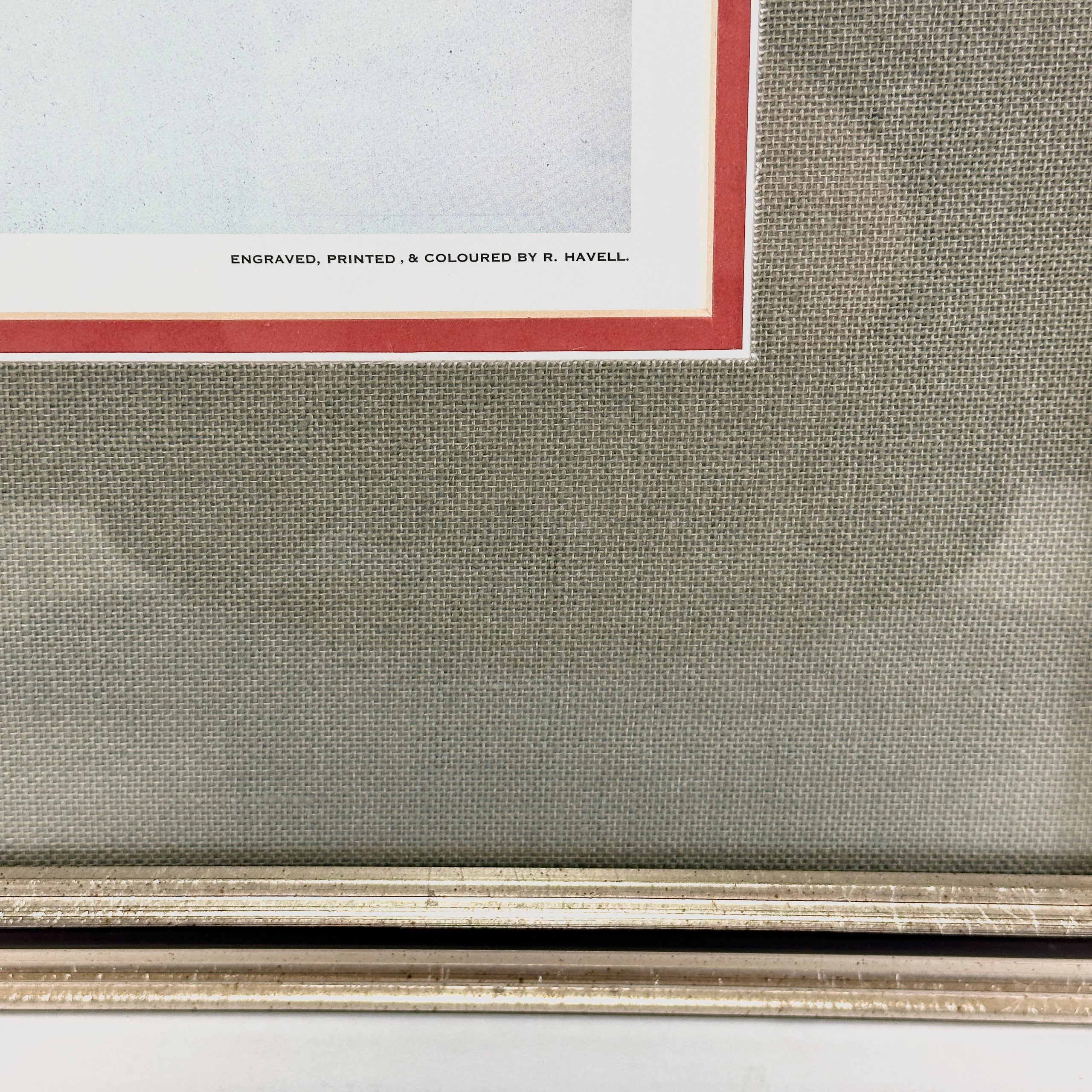 Pileated Woodpecker by Robert Havell and John James Audubon Habitat for Humanity Portland